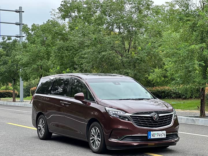 Фото 3 - Buick GL8 ES