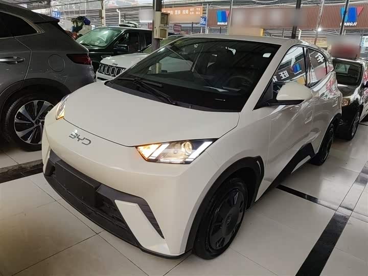 Фото 2 - BYD Seagull