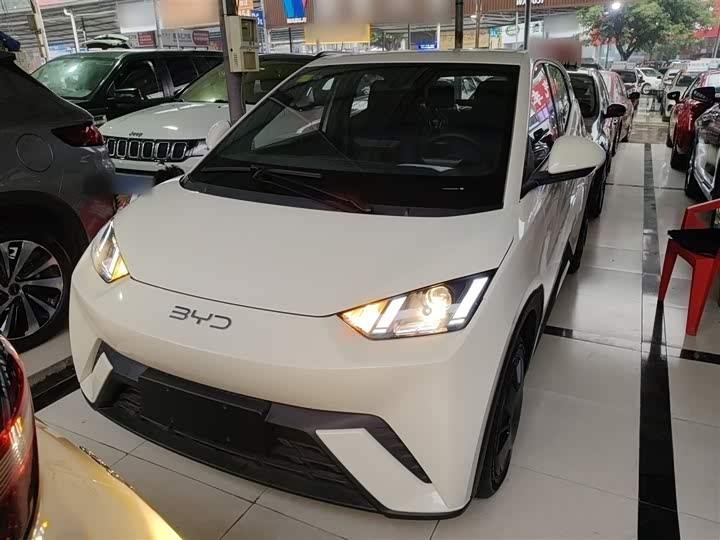 Фото 3 - BYD Seagull