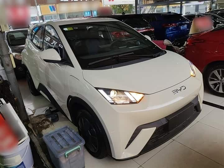 Фото 4 - BYD Seagull