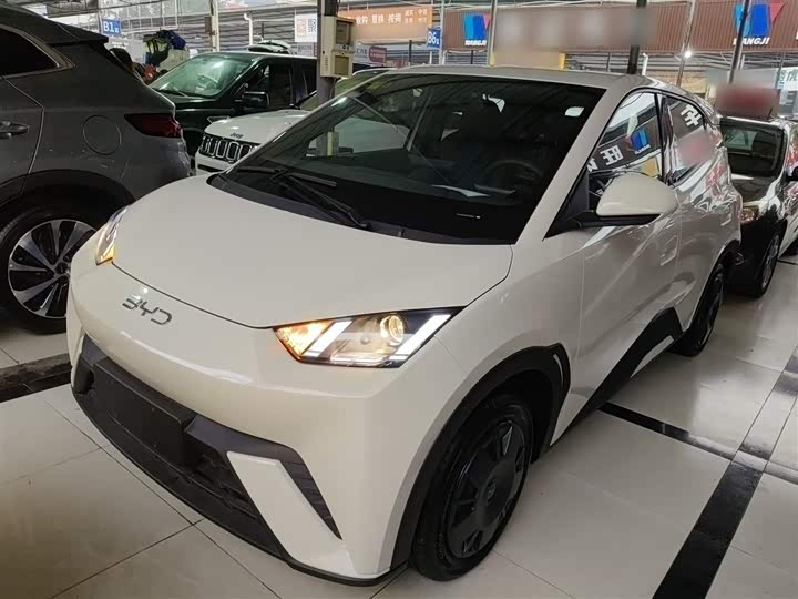 Фото 5 - BYD Seagull