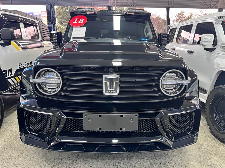 Фото 2 - Tank 300