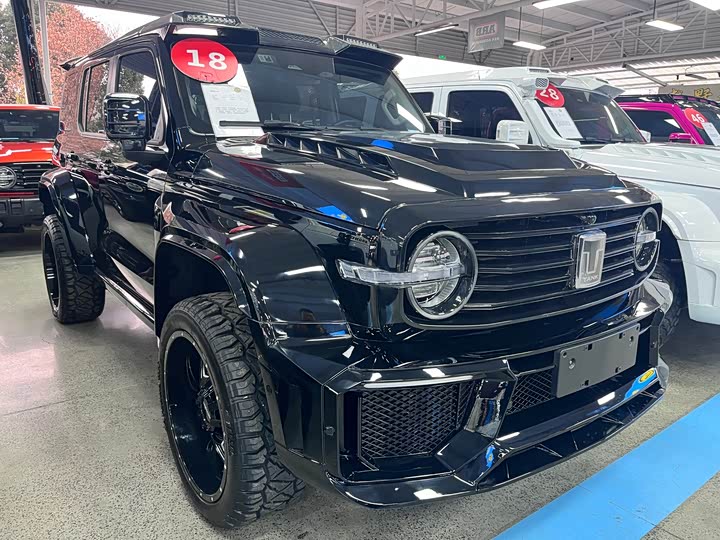 Фото 3 - Tank 300