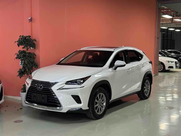 Фото 1 - Lexus NX