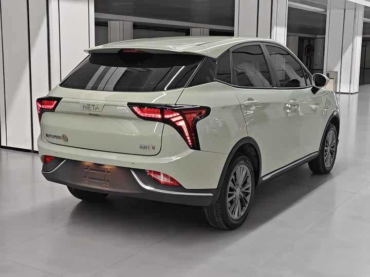 Фото 4 - Hozon V