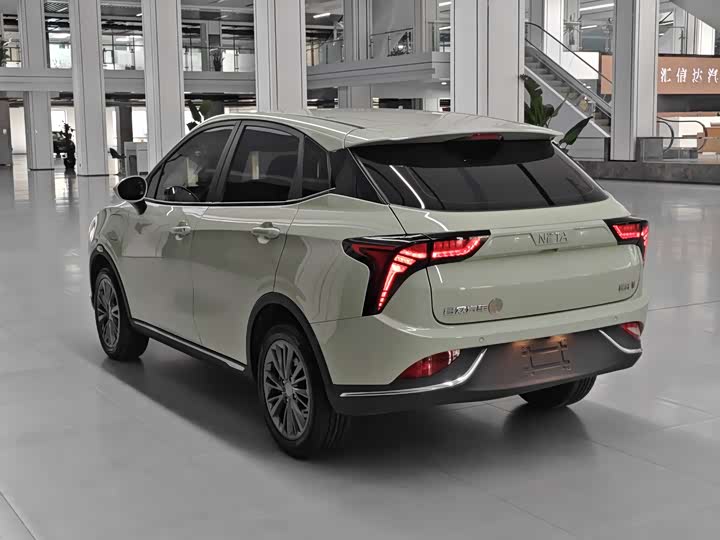 Фото 5 - Hozon V