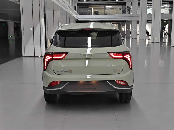 Фото 6 - Hozon V