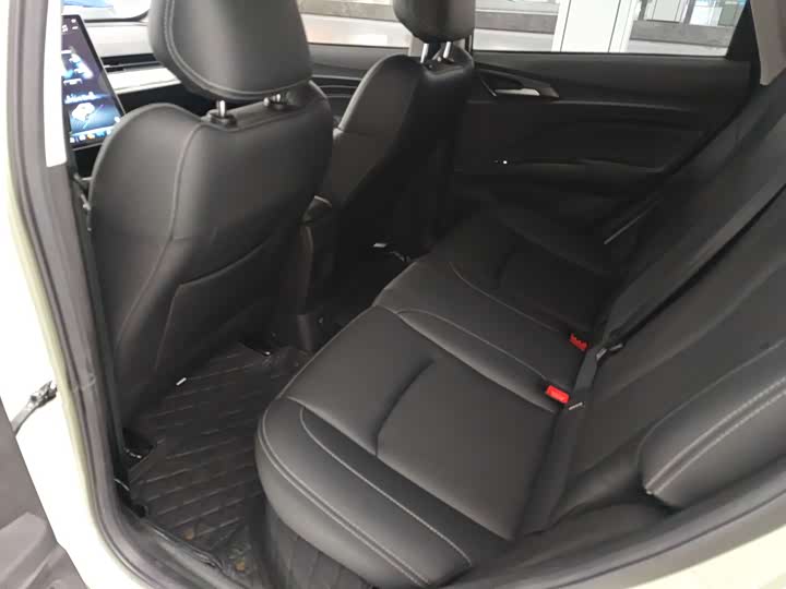 Фото 9 - Hozon V