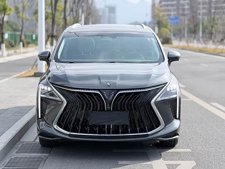 Фото 2 - Dongfeng Forthing Yacht