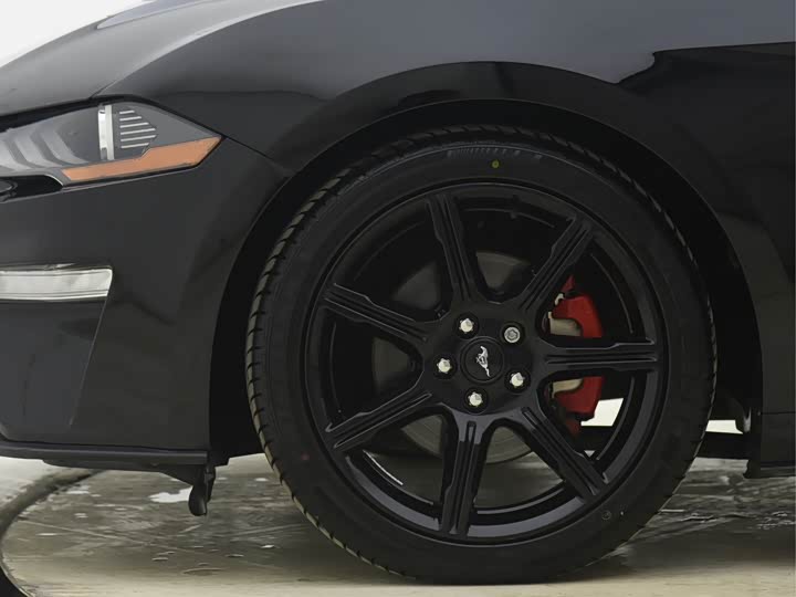 Фото 5 - Ford Mustang