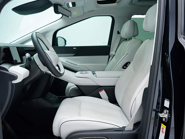 Фото 9 - XPeng X9