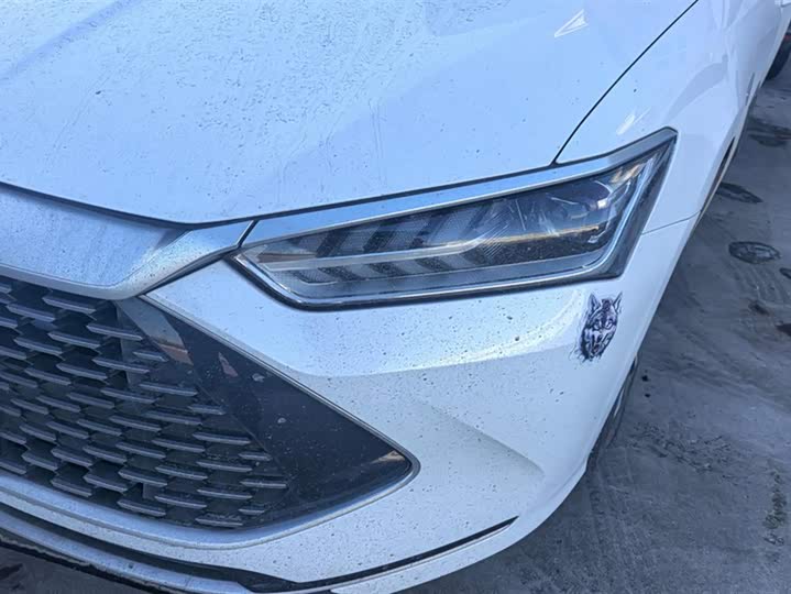 Фото 5 - BYD Qin Plus