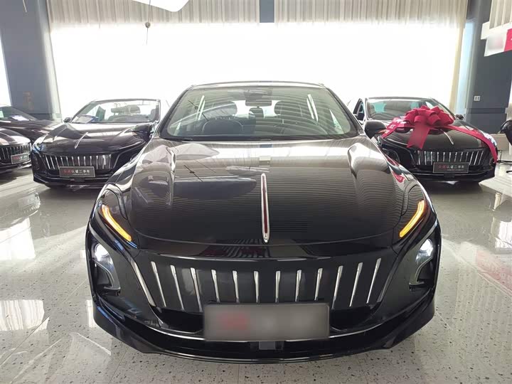 Фото 3 - Hongqi E-QM5