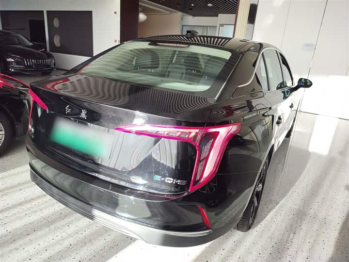 Фото 7 - Hongqi E-QM5