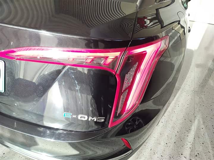 Фото 8 - Hongqi E-QM5