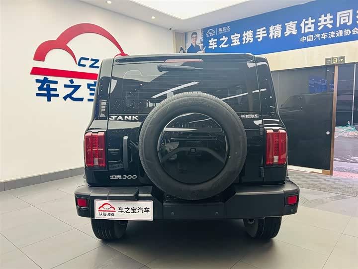 Фото 6 - Tank 300