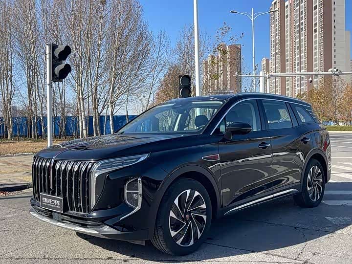 Фото 1 - Hongqi HS7 Hybrid