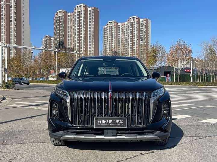 Фото 2 - Hongqi HS7 Hybrid
