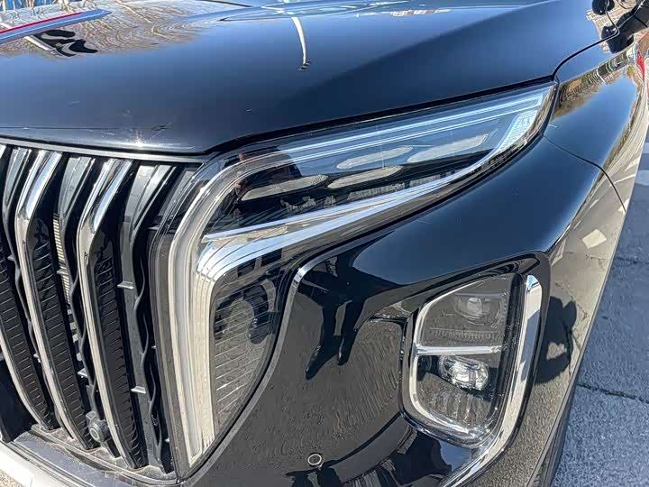 Фото 4 - Hongqi HS7 Hybrid