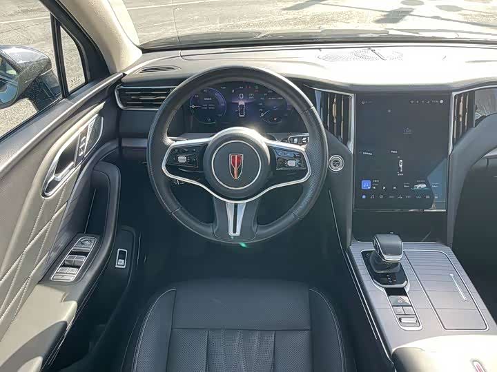 Фото 9 - Hongqi HS7 Hybrid