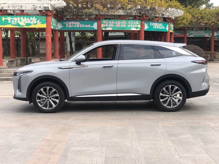 Фото 4 - Exeed RX