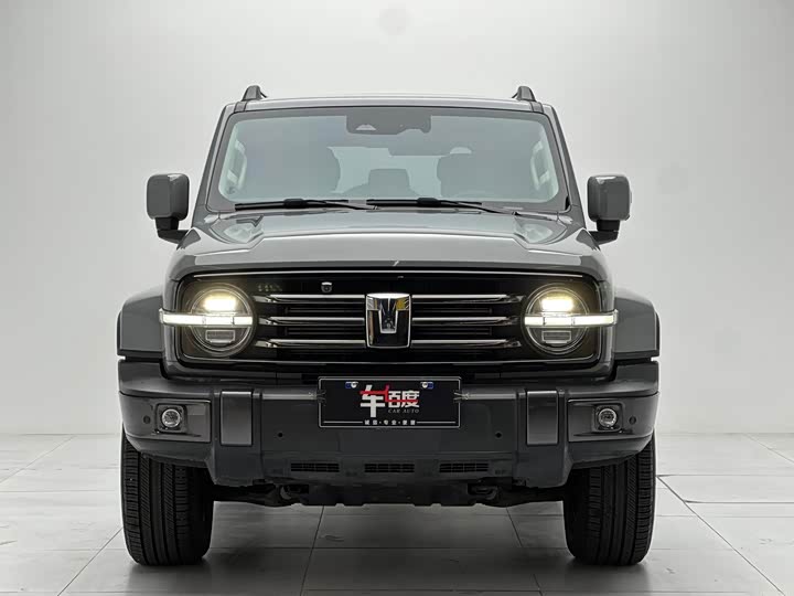 Фото 2 - Tank 300