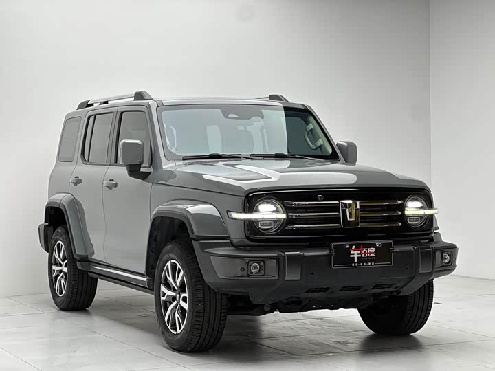 Фото 3 - Tank 300