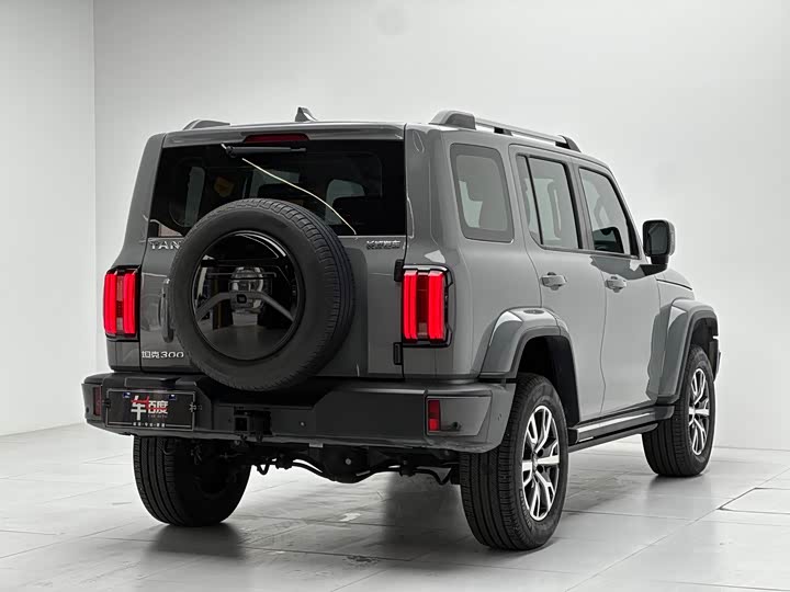 Фото 4 - Tank 300