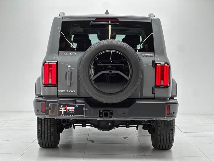 Фото 5 - Tank 300