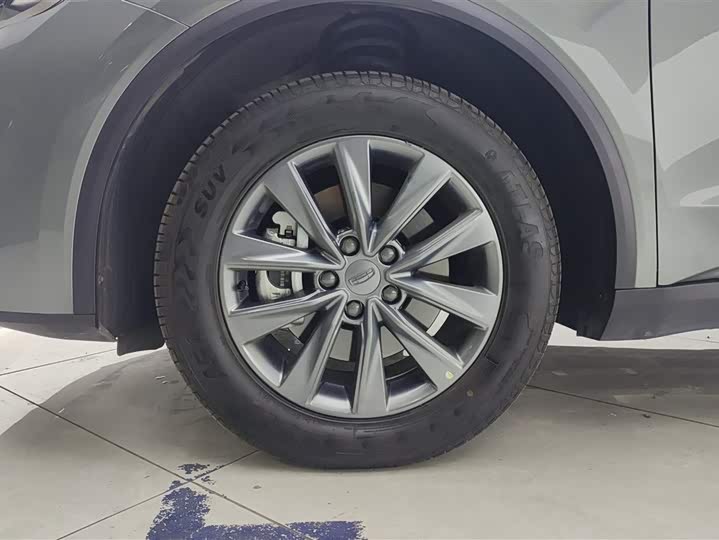 Фото 6 - Geely Jiaji