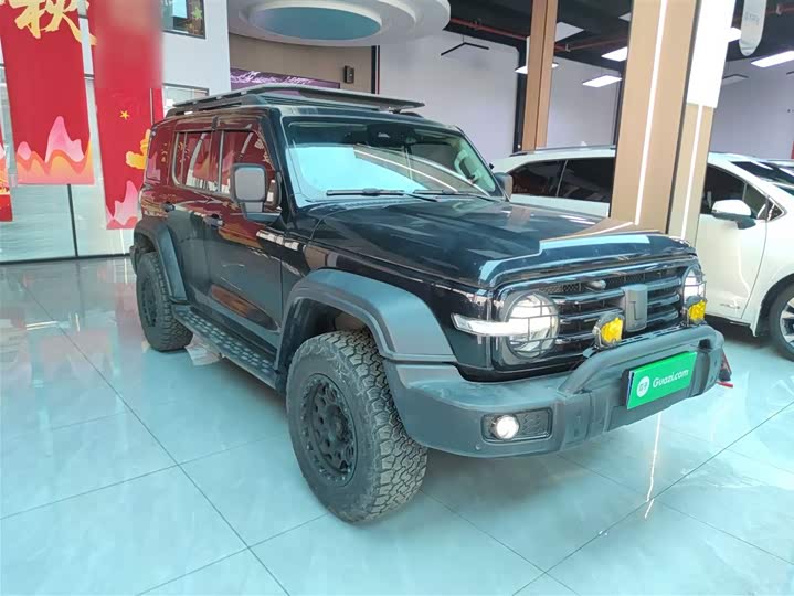 Фото 4 - Tank 300