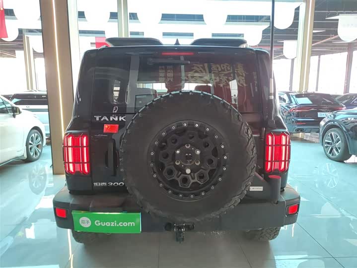 Фото 6 - Tank 300