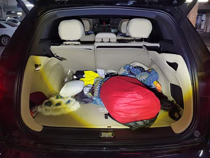 Фото 4 - Geely Monjaro