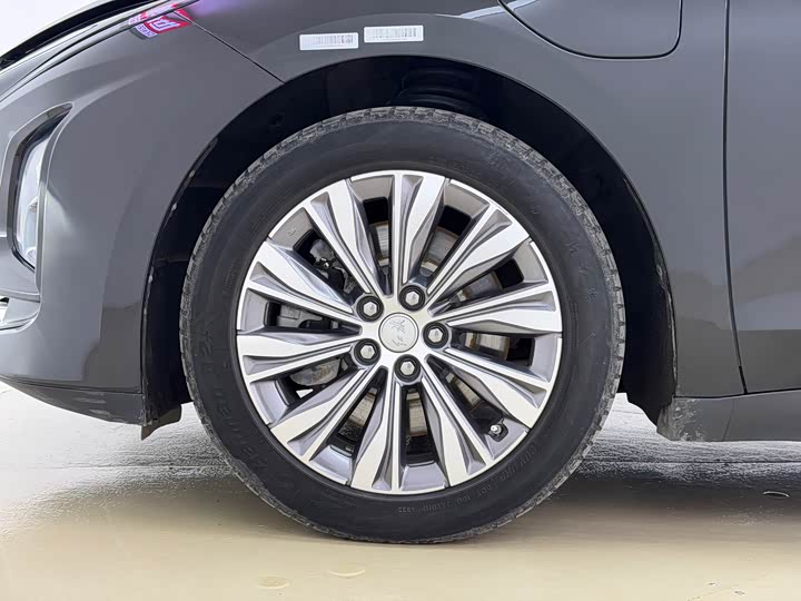 Фото 8 - Hongqi E-QM5