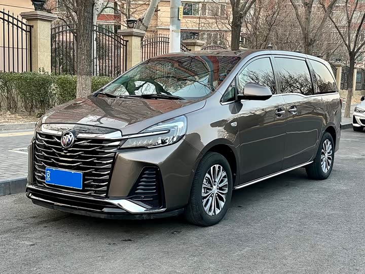 Фото 1 - Buick GL8 ES