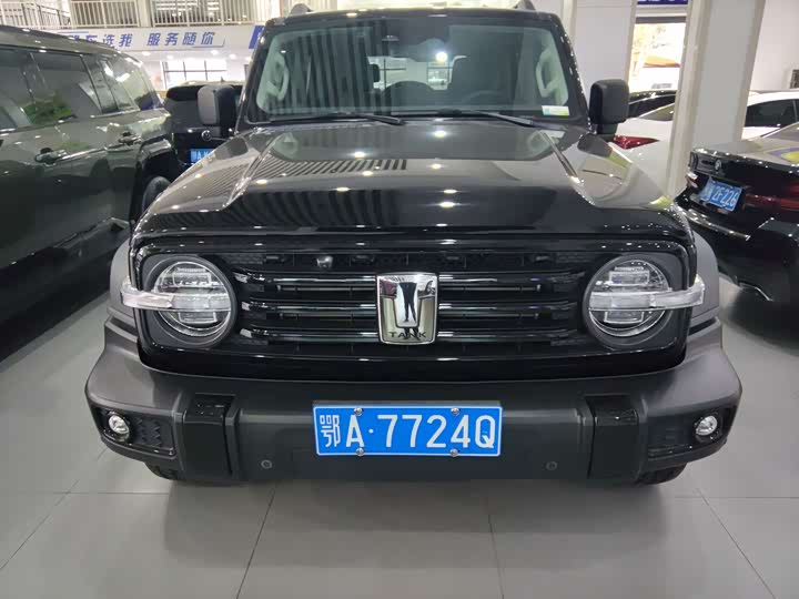 Фото 2 - Tank 300