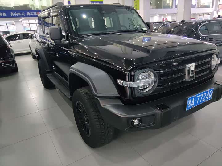 Фото 3 - Tank 300