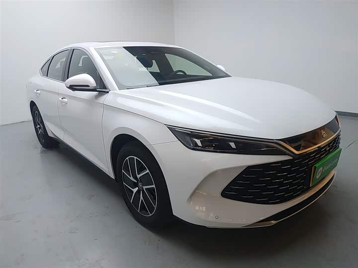 Фото 4 - BYD Qin L