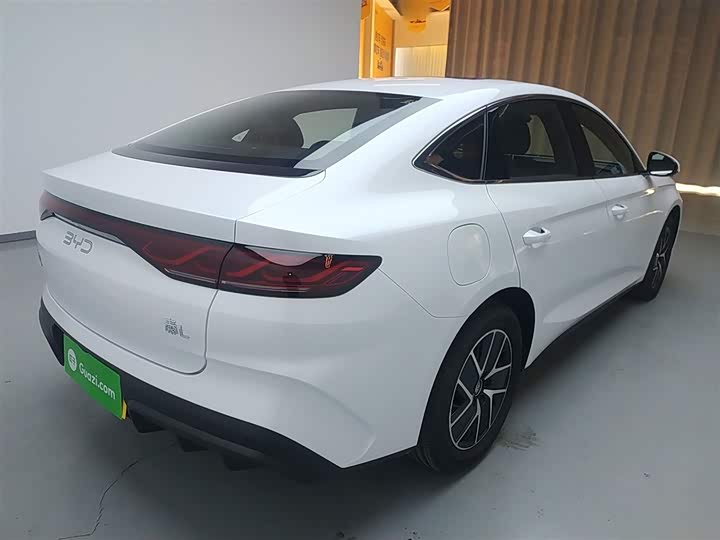 Фото 7 - BYD Qin L