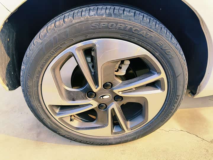 Фото 9 - Ora Black Cat