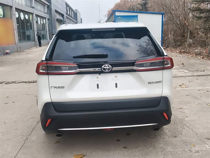 Фото 6 - Toyota Wildlander