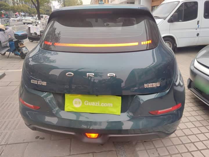 Фото 6 - Ora Good Cat (03)