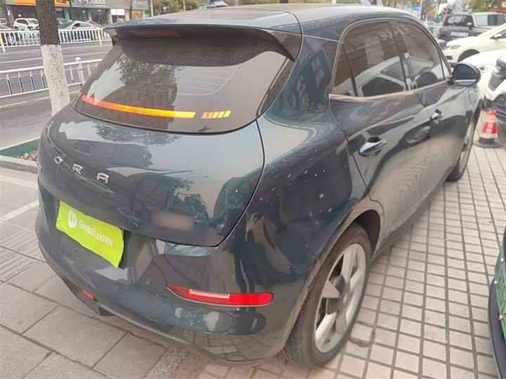 Фото 7 - Ora Good Cat (03)