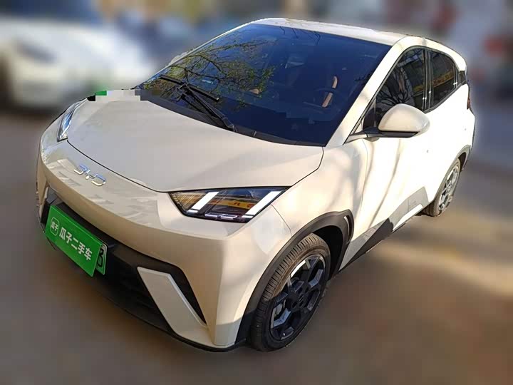 Фото 1 - BYD Seagull