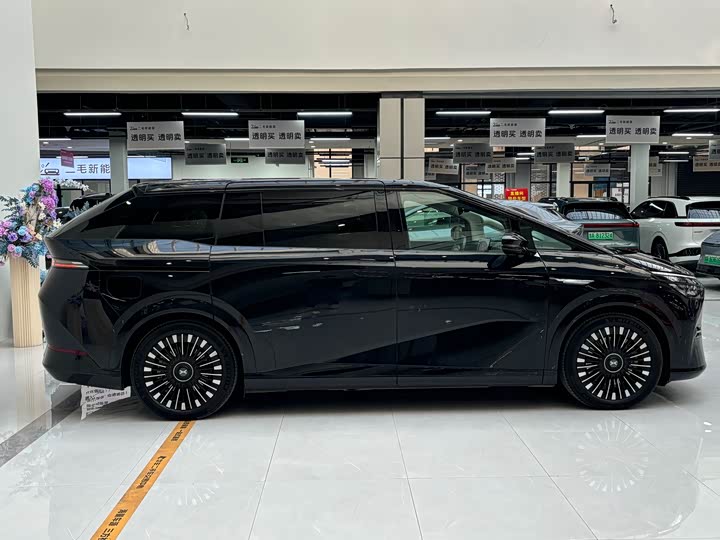 Фото 4 - XPeng X9