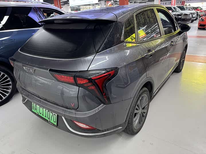 Фото 6 - Hozon V