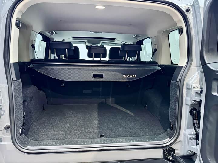 Фото 7 - Tank 300