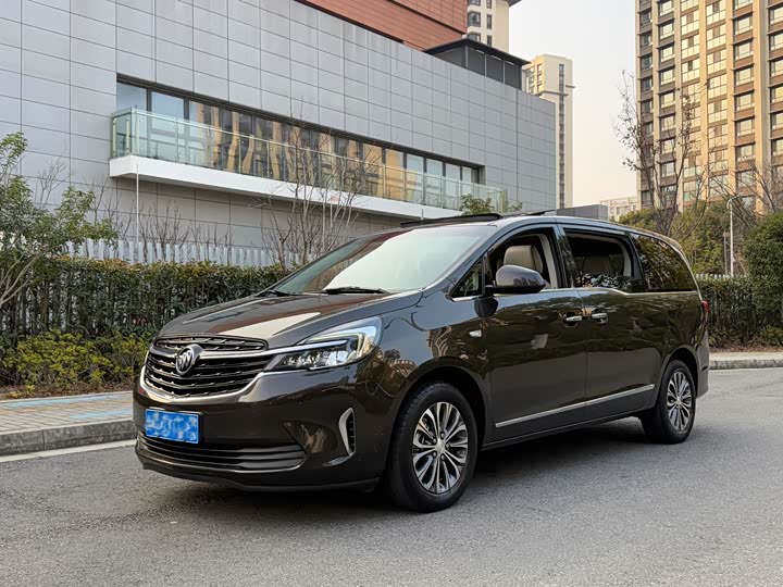 Фото 1 - Buick GL8 ES