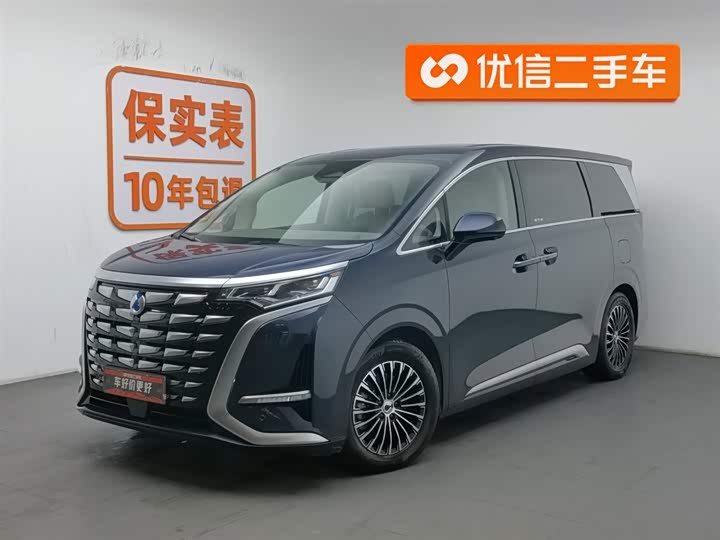 Фото 1 - Denza D9