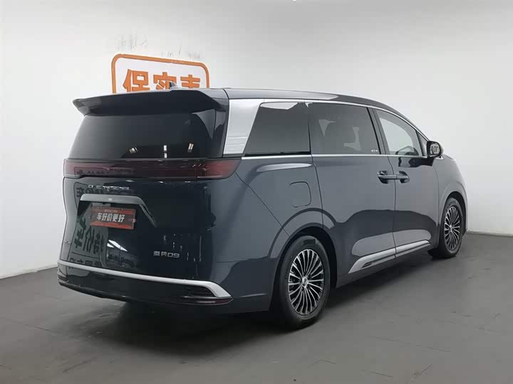 Фото 2 - Denza D9